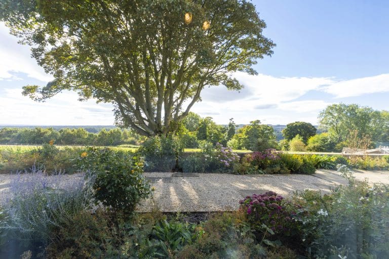 Highlease Farm_114