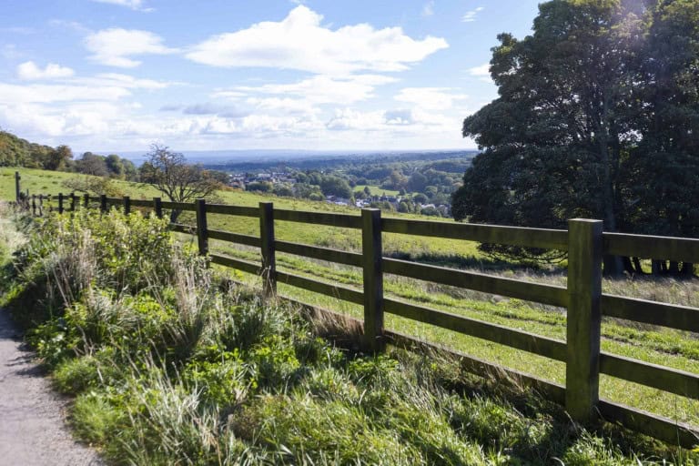 Highlease Farm_167