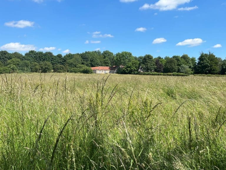 Scenic view of a lush green field near Middlefield Cottage, Malton under a blue sky.