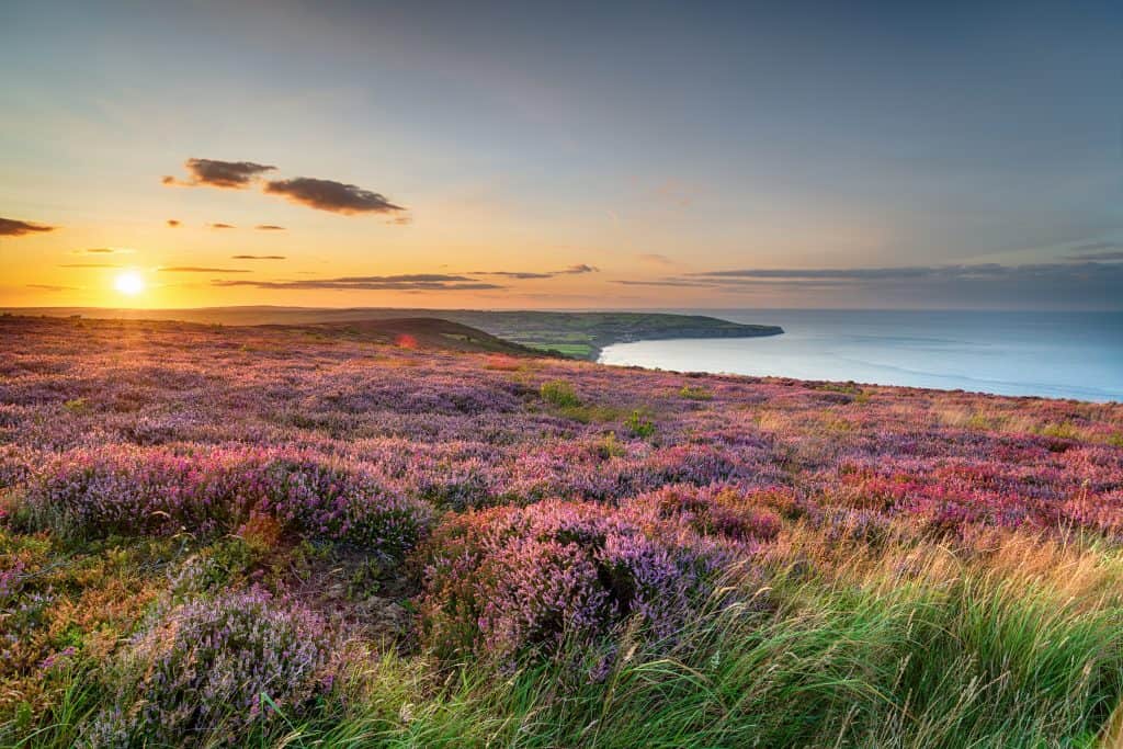 Best beaches in Yorkshire