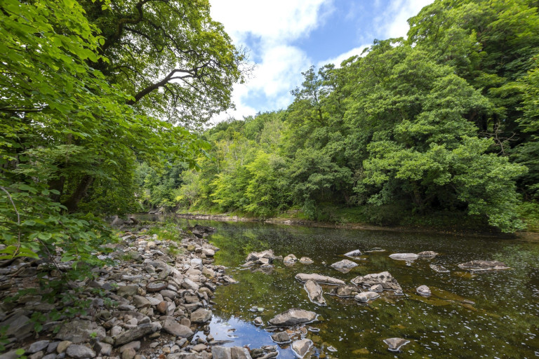 Aysgarth 2