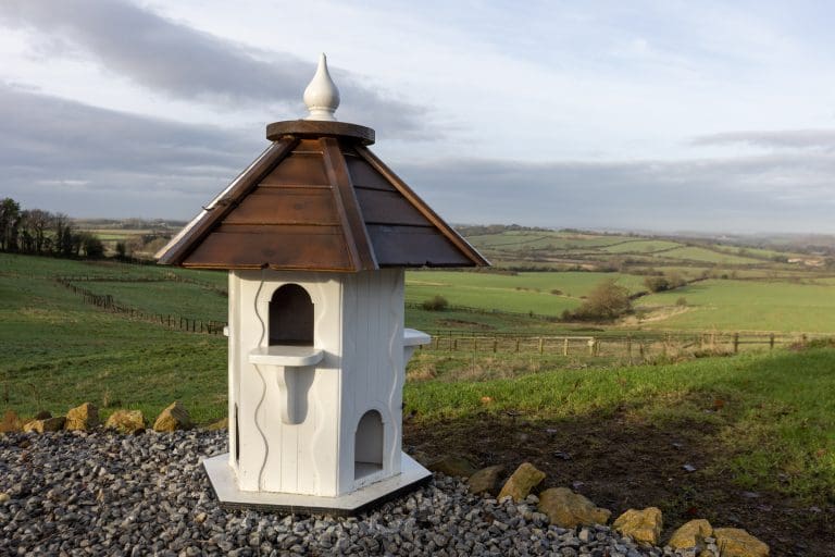 Dovecote Westow_20