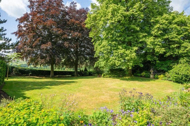 Beautiful garden with mature trees and colourful flowers in North York Moors.