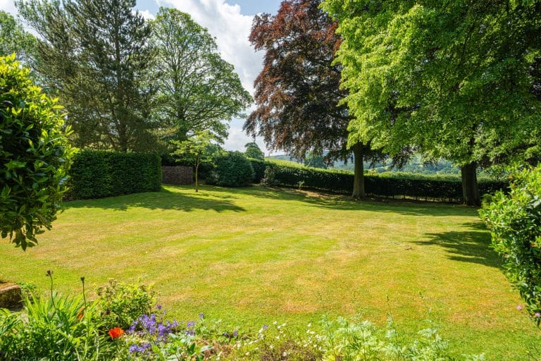 Lush green garden with trees and flowering plants in North York Moors.