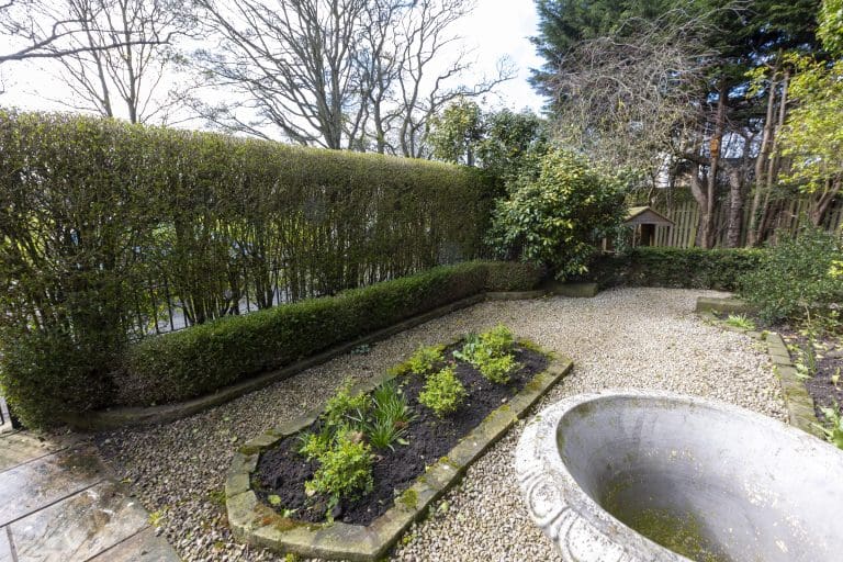 Beautiful garden with trimmed hedges and a stone birdbath in Harrogate.