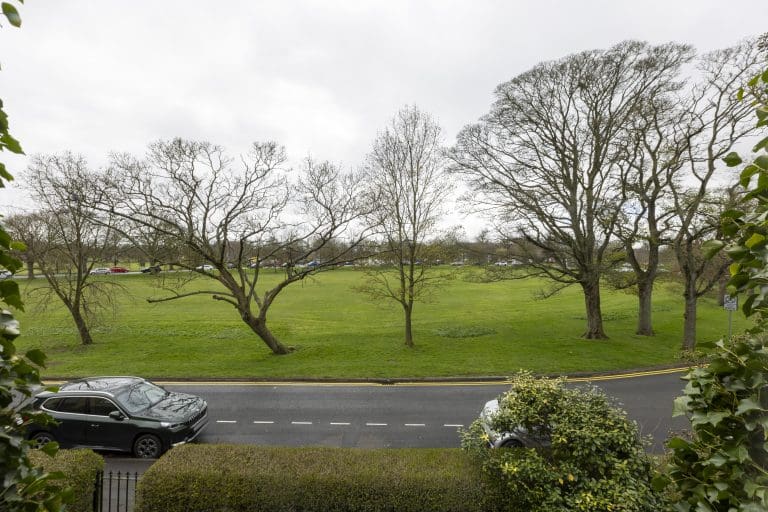 View of a park with leafless trees and a road with parked cars in Harrogate.