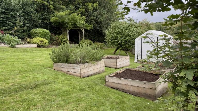 Lush garden with raised vegetable beds and greenery at Foxglove Cottage, Helmsley.