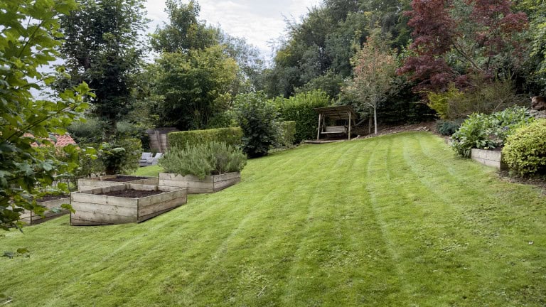 Lush green garden with well-maintained lawn and colourful trees at Foxglove Cottage.